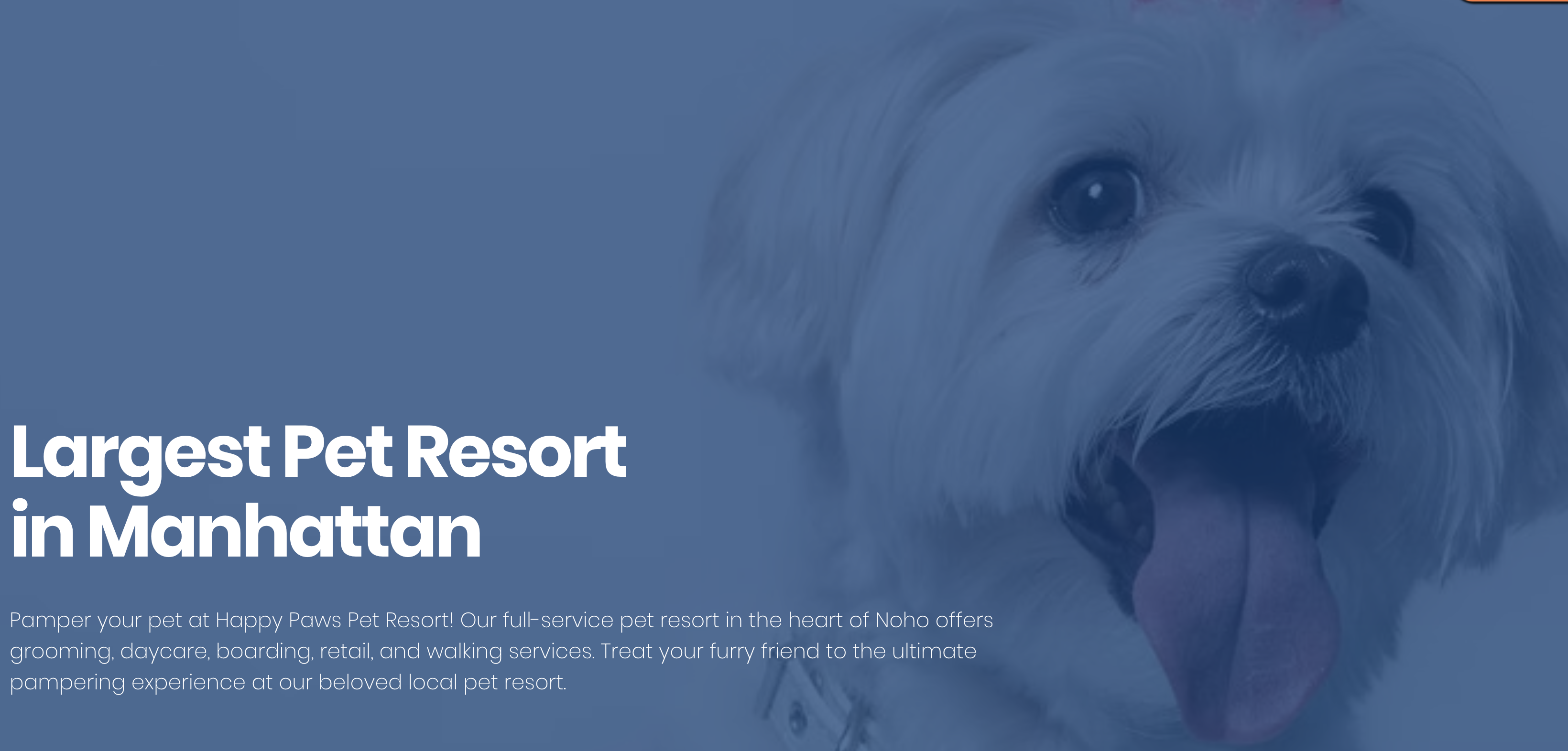 Happy Paws Pet Resort