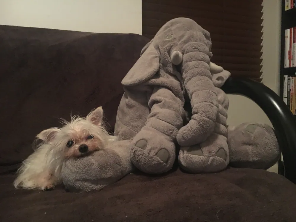 Tilly